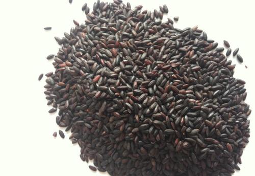 Black rice extract Black rice extract